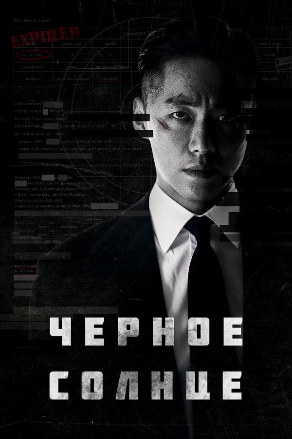 Чёрное солнце - постер